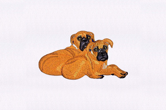 A Cozy Review: The Sitting Boxers Embroidery Design