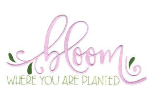 Bloom Where You Are Planted: A Designer's Honest Review