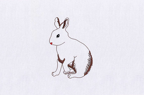 Bunny Rabbit: A Charming Addition to Your Merch