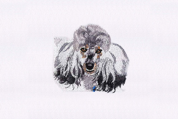 Poodle Face: A Charming Addition to Your Embroidery Collection