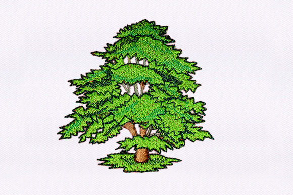 Reviewing Grown Tree for Premium Sweatshirts